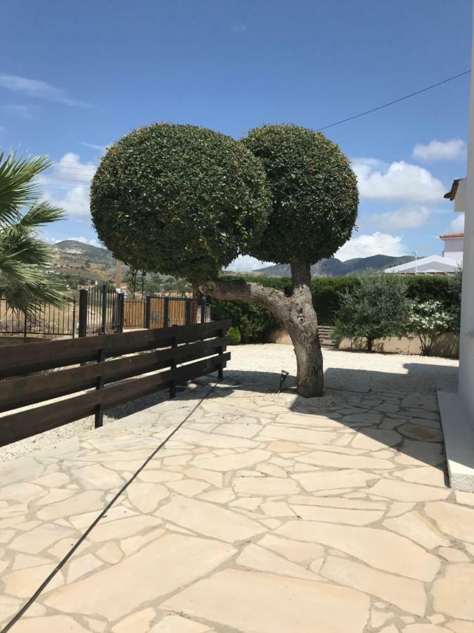 Villa Lilly à Peyia Extérieur photo