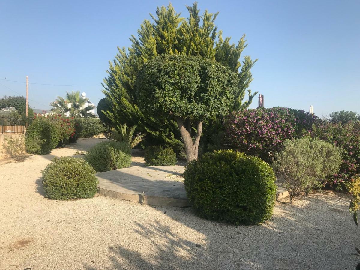 Villa Lilly à Peyia Extérieur photo